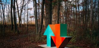 Up and Down Arrow in a Forest